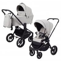 Детская коляска Rant Flex 2 в 1 RA076 Stone