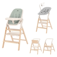 Стульчик для кормления Carrello Ergo CRL-16701 4 в 1 Elora Green