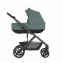 Коляска для погодок Anex Modu Greeny
