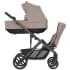 Коляска для погодок Anex Modu Rooty