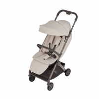Детская прогулочная коляска Anex Air-Q Vanille