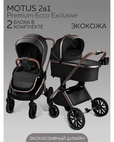 Детская коляска AmaroBaby Motus Premium Ecco Exclusive 2 в 1 черный