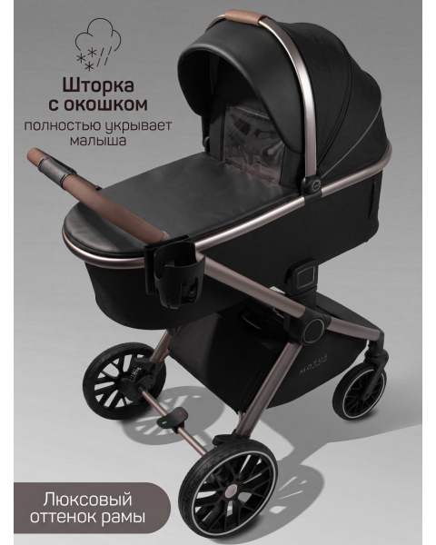 Детская коляска AmaroBaby Motus Premium Ecco Exclusive 2 в 1 черный