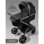Детская коляска AmaroBaby Motus Premium Ecco Exclusive 2 в 1 черный