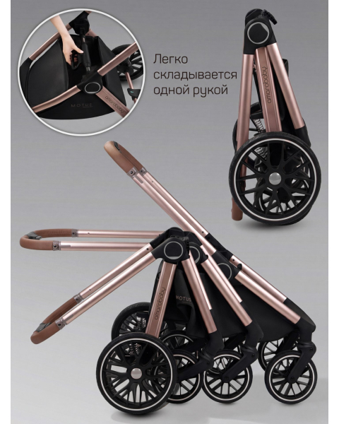 Детская коляска AmaroBaby Motus Premium Ecco Exclusive 2 в 1 черный