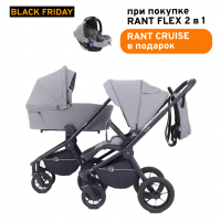 Детская коляска Rant Flex 2 в 1 RA076 Grey