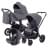 Детская коляска Rant Flex 3 в 1 RA077 Graphite