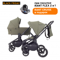 Детская коляска Rant Flex 2 в 1 RA076 Green