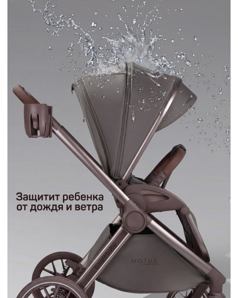 Детская коляска AmaroBaby Motus Premium Ecco Exclusive 2 в 1 серый