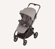 Коляска прогулочная Anex Ride, Chrome (RD-01)