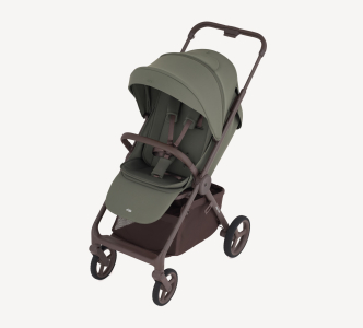 Коляска прогулочная Anex Ride, Freshy (RD-03)