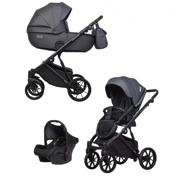 Детская коляска Riko Basic Montana X Ecco 3 в 1 24 Graphite