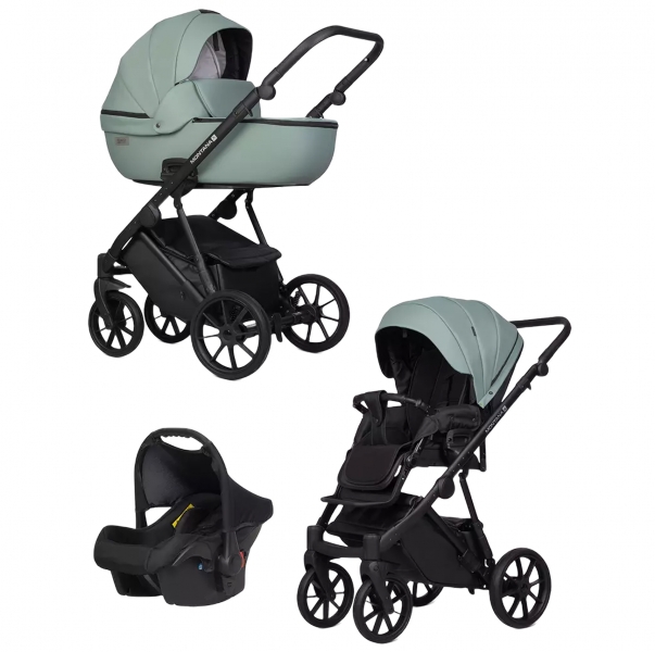 Детская коляска Riko Basic Montana Ecco 3 в 1 21 Green