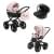 Детская коляска Adamex Chantal Retro 3 в 1 C215 (пудровый)