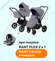 Детская коляска Rant Flex 2 в 1 RA076 Grey