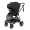 Коляска прогулочная Carrello Extra CRL- 5532 Forest Black