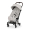 Коляска прогулочная Cybex Coya Style SLV City Grey с дождевиком 2026