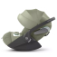 Коляска 3 в 1 Cybex Priam V Rosegold Style Sage Green + Cloud T Sage Green Plus