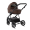 Детская коляска Tutis Enzo 2 в 1 Chocolate (548)