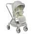 Коляска прогулочная Farfello Olivia O1s,серый
