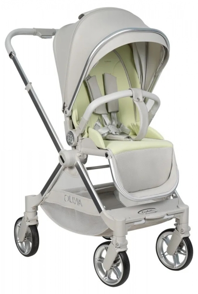 Коляска прогулочная Farfello Olivia O1s,серый
