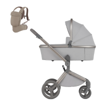 Детская коляска 2 в 1 Anex Flo, Frossy (fl-06c) с переноской