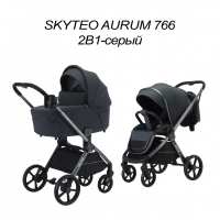 Коляска детская 766 Skyteo Aurum 2 в 1 серый 2026