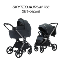 Коляска детская 766 Skyteo Aurum 2 в 1 серый 2026