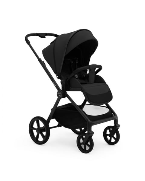 Коляска 2 в 1 Agex Life 2026, Black (Черный)