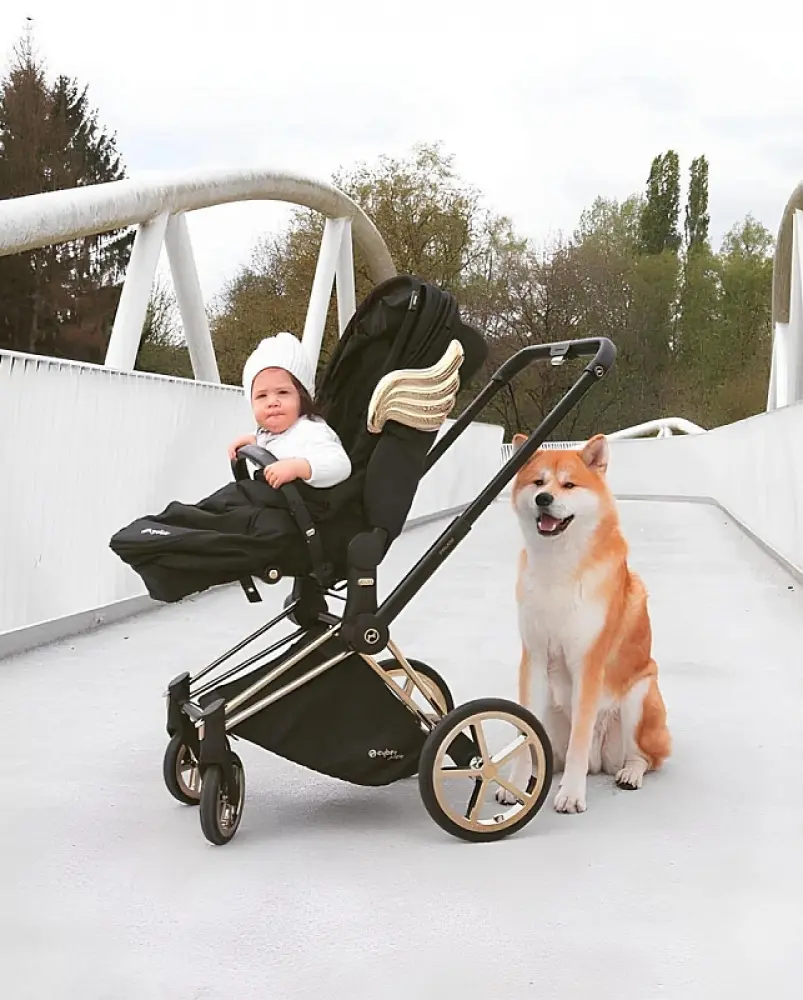 детская коляска с крыльями. Cybex priam от jeremy scott. коляска cybex jeremy scott. Cybex priam 4 grey. коляска cybex jeremy scott.