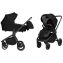 Коляска Carrello Epica 2 в 1 CRL-8510/1 Silver Grey