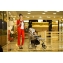 Детская прогулочная коляска Carrello Vista Ruby Red