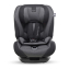 Inglesina Newton Ifix