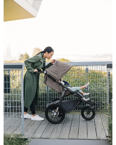Коляска прогулочная UPPAbaby RIDGE Theo