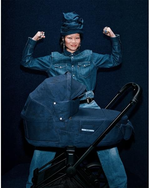 Спальный блок для коляски Cybex Priam IV Rebellious Luxury Denim Blue