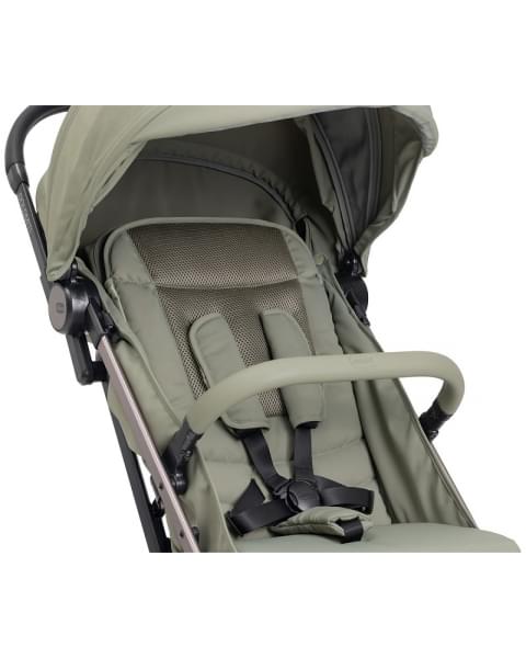 Коляска прогулочная Chicco Dolomiti Meadow