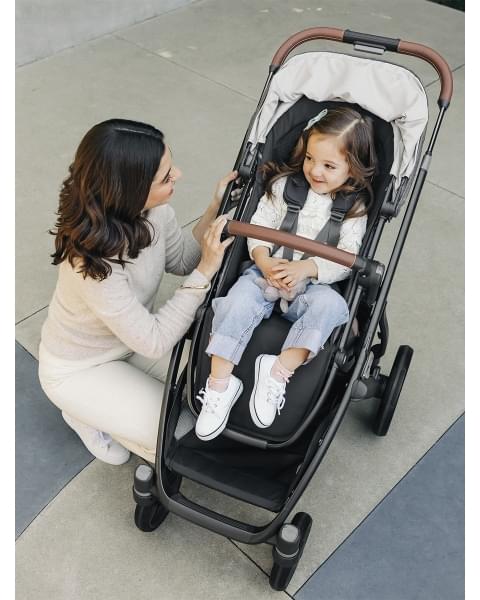 Коляска 2в1 UPPAbaby VISTA V3 GREYSON