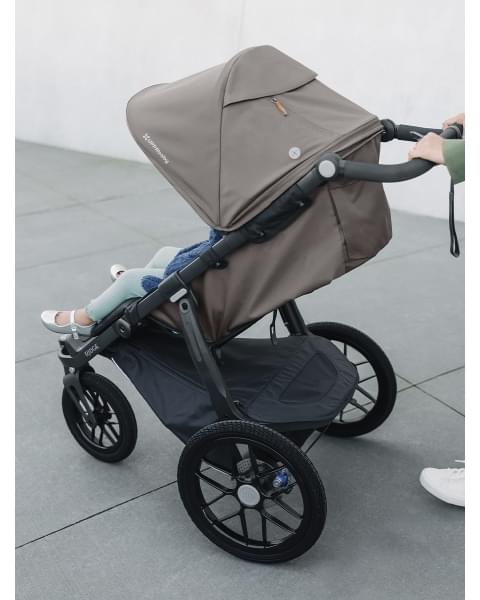 Коляска прогулочная UPPAbaby RIDGE Theo