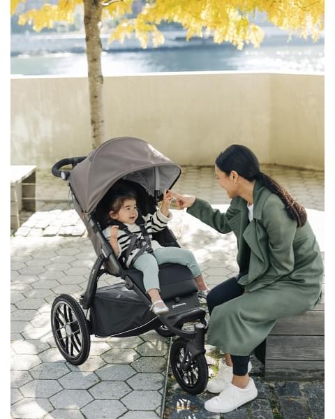 Коляска прогулочная UPPAbaby RIDGE Theo