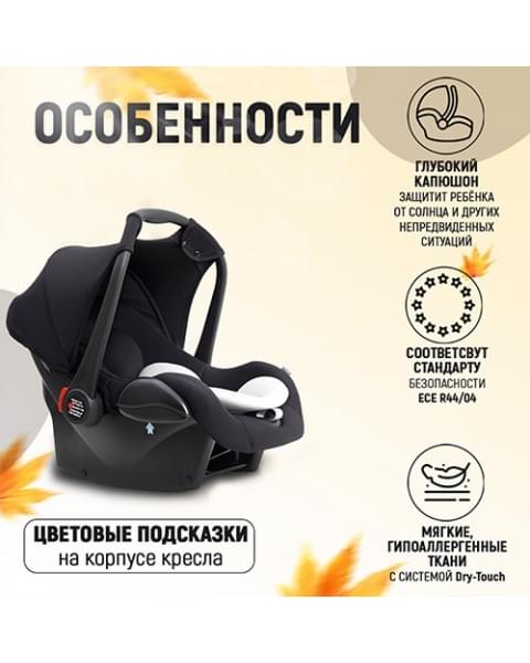 Автокресло Agex Simple (0-13 кг), Black (Черный)