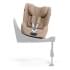 Автокресло Cybex Sirona T Plus i-Size (0-18 кг), Cozy Beige (Бежевый)