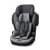 Автокресло Osann Flux Plus 9-36 кг Universe Grey