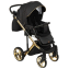 Детская коляска Adamex Chantal Special Edition 2 в 1 C1 (ЧЕРН+ЧЕРН.РИФЛЕН.ДНО+ЗОЛОТО РАМА)
