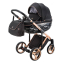 Детская коляска Adamex Chantal Special Edition 2 в 1 C8 (ЧЕРН+ЧЕРН.РИФЛЕН.ДНО+БРОНЗА РАМА)