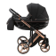 Детская коляска Adamex Chantal Special Edition 2 в 1 C8 (ЧЕРН+ЧЕРН.РИФЛЕН.ДНО+БРОНЗА РАМА)