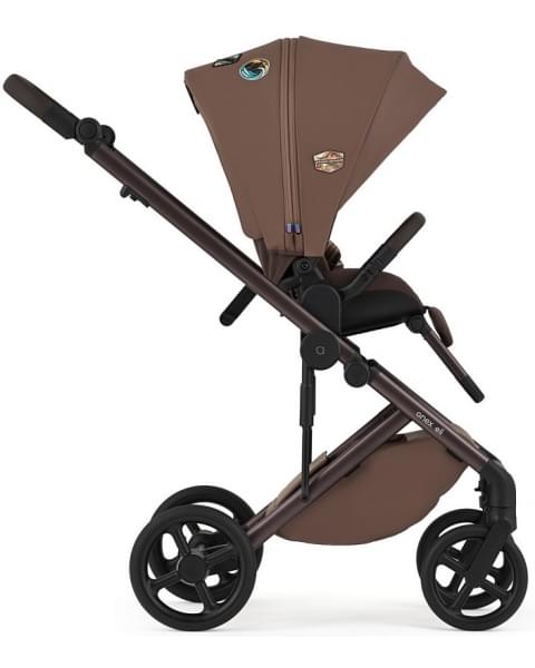 Детская коляска Anex Eli 2 в 1 New с рюкзаком Wander