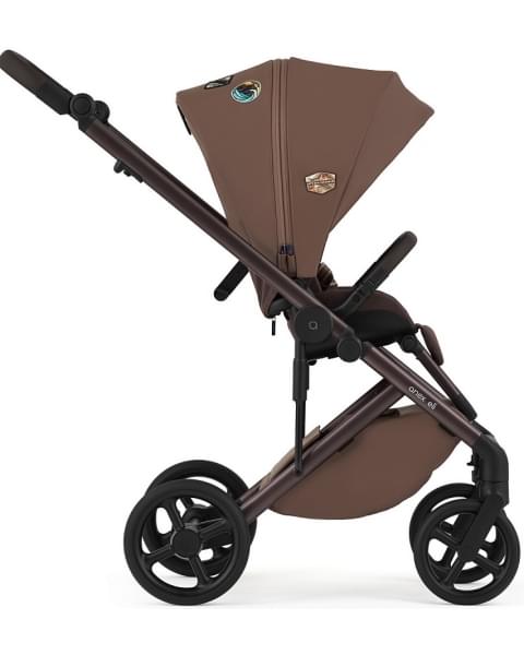 Детская коляска Anex Eli 2 в 1 New с рюкзаком Wander