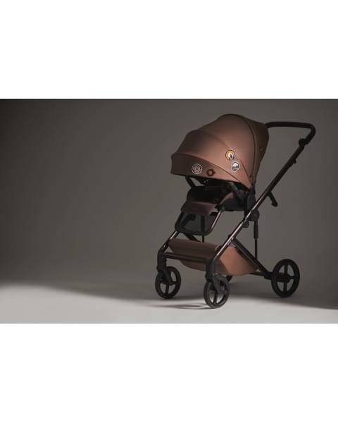 Детская коляска Anex Eli 2 в 1 New с рюкзаком Wander