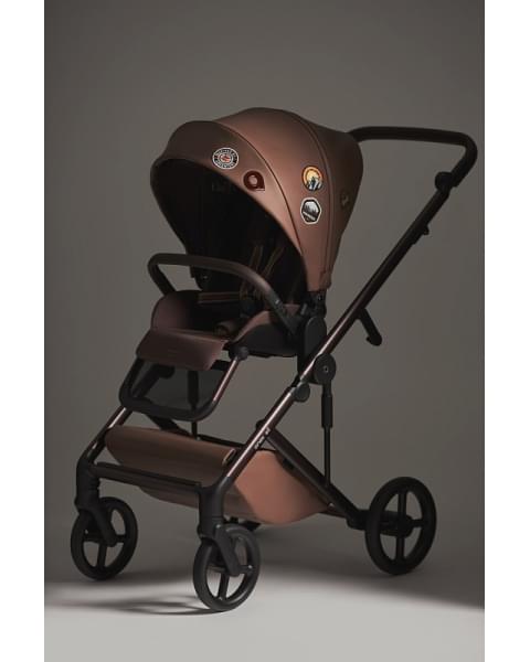 Детская коляска Anex Eli 2 в 1 New с рюкзаком Wander