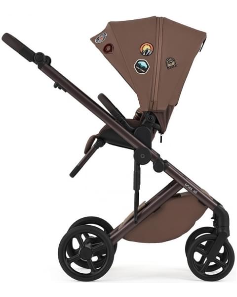Детская коляска Anex Eli 2 в 1 New с рюкзаком Wander